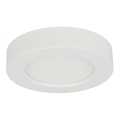Globo - LED Димируема За баня лампа 1xLED/18W/230V IP44