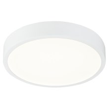 Globo - LED Димируема За баня Лампа за таван LED/22W/230V IP44
