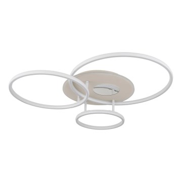 Globo - LED димируемо таванно осветително тяло LED/40W/230V 2700-6500K 70x80,7 cm + дистанционно управление