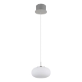 Globo - LED Пендел LED/6W/230V бял