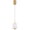 Globo - LED Пендел LED/7W/230V