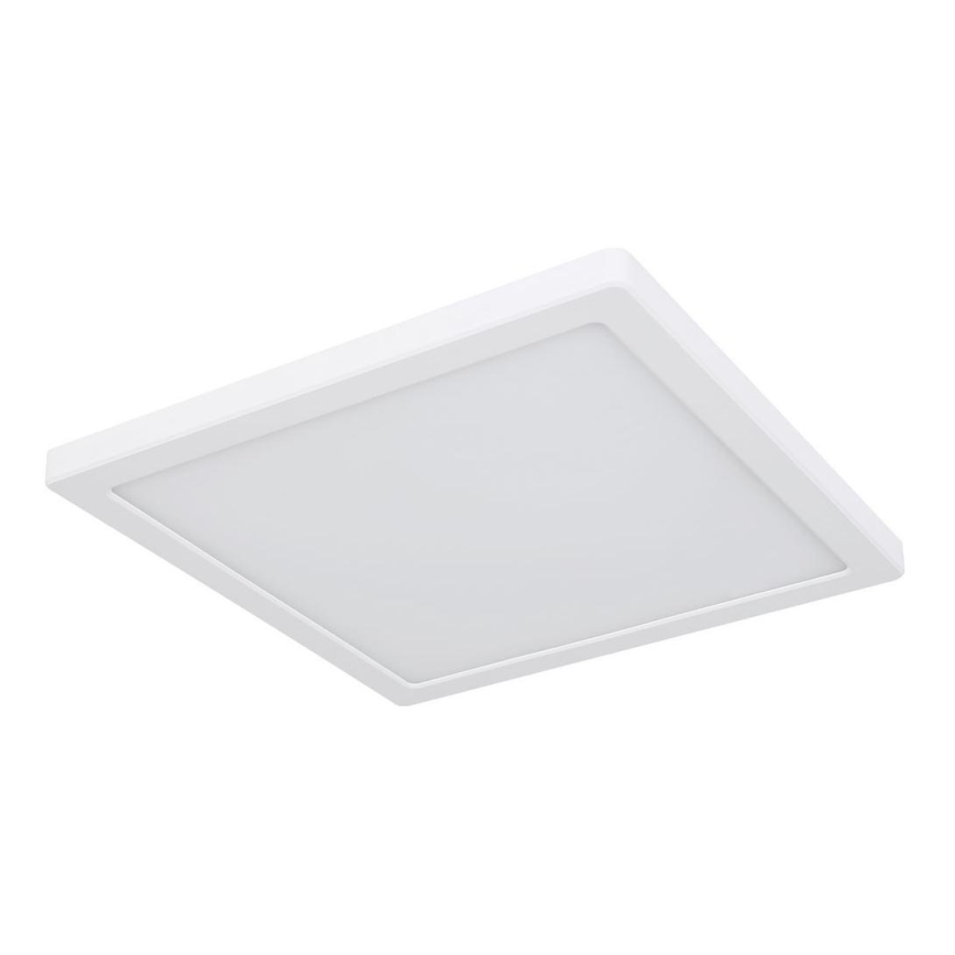 Globo - LED Плафон LED/24W/230V 3000/4000/6500K бял
