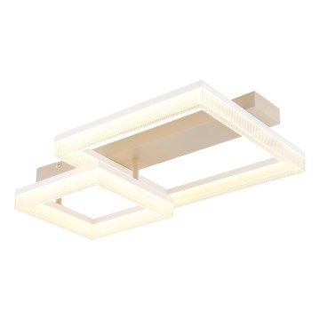 Globo - LED плафон LED/24W/230V 3000K 33x53 cm