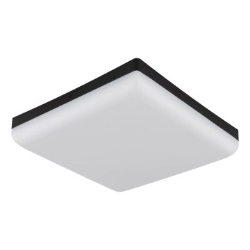Globo - LED Плафониера LED/12W/230V 4000K 22x22 см черен
