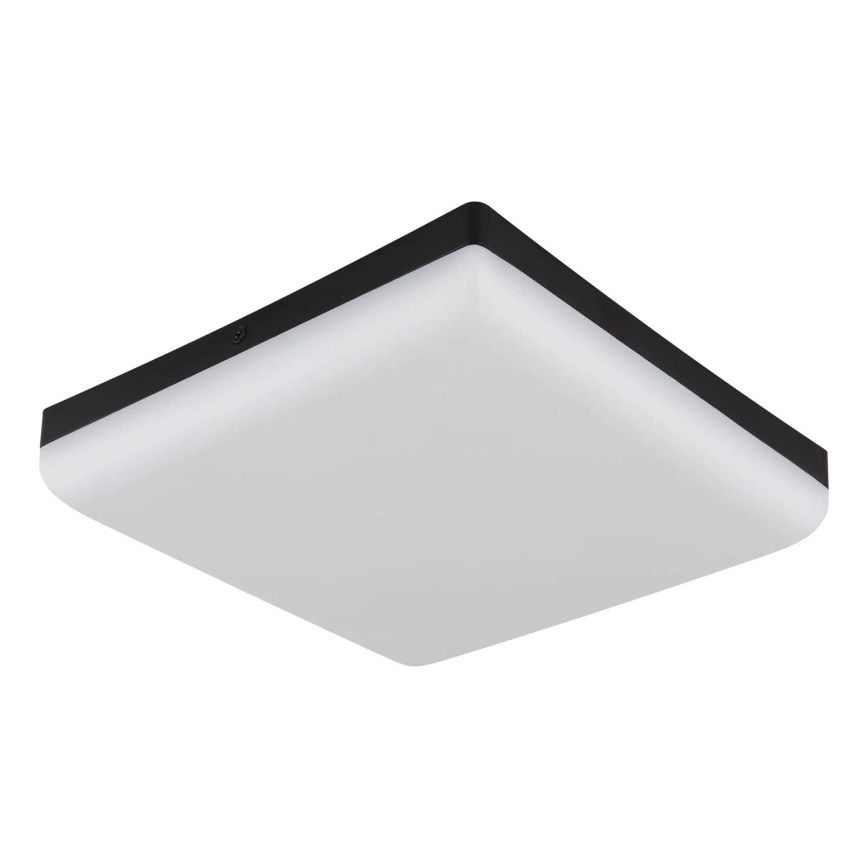 Globo - LED Плафониера LED/12W/230V 4000K 22x22 см черен