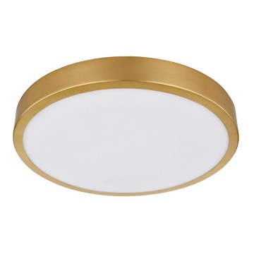 Globo - LED Плафониера LED/15W/230V Ø 25 см