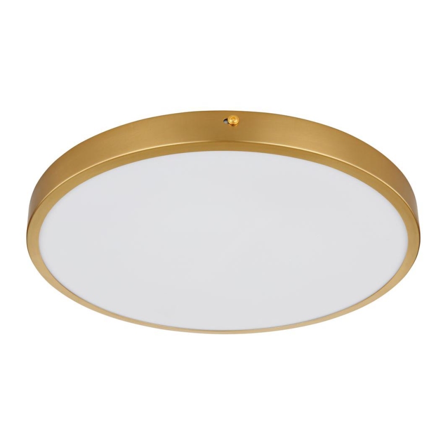 Globo - LED Плафониера LED/22W/230V Ø 35 см