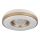 Globo - LED Плафониера LED/24W/230V