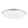 GLOBO - LED Плафониера LED/24W/230V