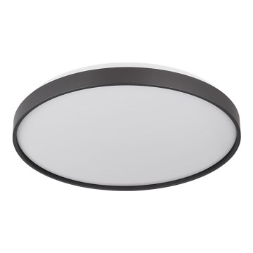 Globo - LED Плафониера LED/24W/230V