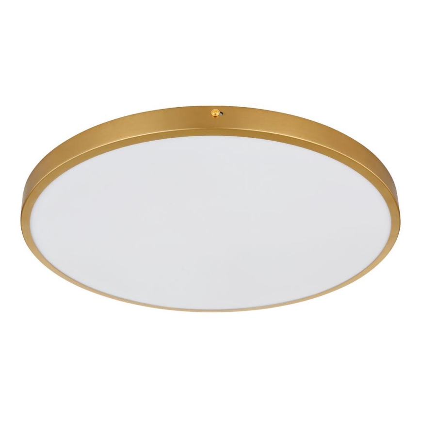 Globo - LED Плафониера LED/30W/230V Ø 45 см