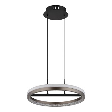 Globo - LED подвесен полилей на кабел LED/40W/230V 3000/4000/6000K Ø 39,7 см