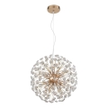 Globo - LED полилей на кабел 8xG9/3,5W/230V златист