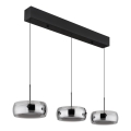 Globo - LED полилей на кабел LED/30W/230V 3000K