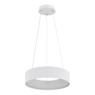 Globo - LED полилей на кабел LED/45W/230V 2700/4000/6000K Ø 46 см бял