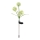 Globo  - LED Соларна лампа 3xLED/0,06W/3V 5000K IP44 200 mAh жълти