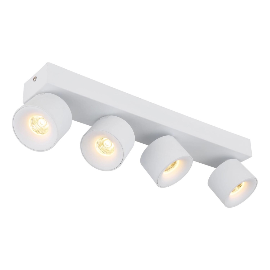 Globo - LED Спот 4xLED/6W/230V бял
