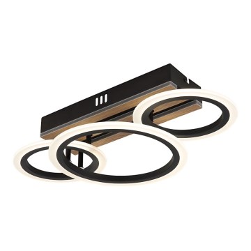 Globo - LED таванно осветително тяло, 21W, 230V, 3000/4200/6000K