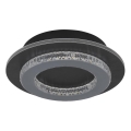 Globo - LED таванно осветително тяло LED/12W/230V 3000/4000/6500K Ø 20 см антрацит