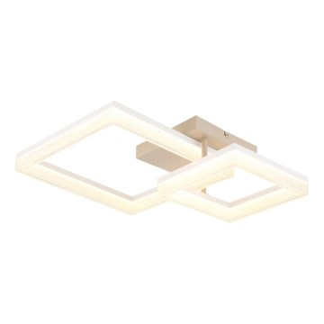 Globo - LED таванно осветително тяло LED/24W/230V 3000K 46,5x62,5 cm