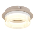 Globo - LED таванно осветително тяло LED/8W/230V 3000K Ø 16 cm