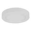 Globo - LED таванно осветително тяло за баня LED/18W/230V IP44