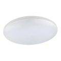 Globo - LED външно таванно осветително тяло LED/24W/230V IP54