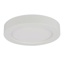 Globo - LED За баня Лампа за таван 1xLED/12W/230V