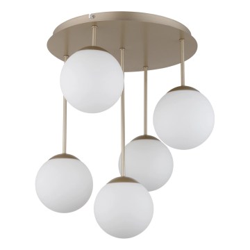 Globo - Прикрепен полилей 5xE14/25W/230V, месинг