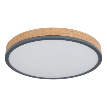 Globo - Таванно LED осветително тяло с възможност за димиране LED/24W/230V 3000-6500K Ø 45 см