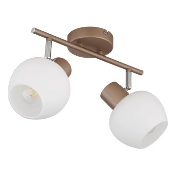 Globo - точково осветително тяло 2xE27/40W/230V