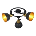 Globo - Точково осветително тяло 3xE14/25W/230V