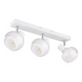 Globo - Точково осветително тяло 3xE14/40W/230V бяло