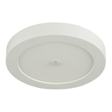 Globo - външен LED плафон с датчик LED/18W/230V IP44