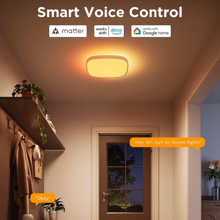 Govee - LED RGBIC Димируем плафон LED/24W/230V 2700-6500K Wi-Fi