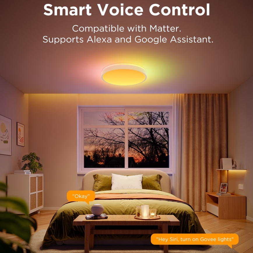 Govee - LED RGBIC Димируем плафон LED/49W/230V 2700-6500K Wi-Fi