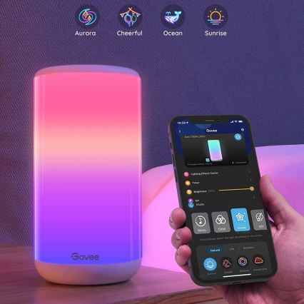 Govee - LED RGBIC Димируема настолна лампа AURA 2 2200-6500K Wi-Fi Matter