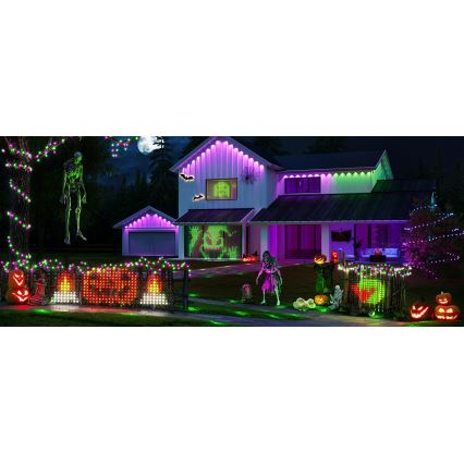 Govee - LED RGBIC Външна светлинна мрежа 143x85cm Wi-Fi Matter IP65