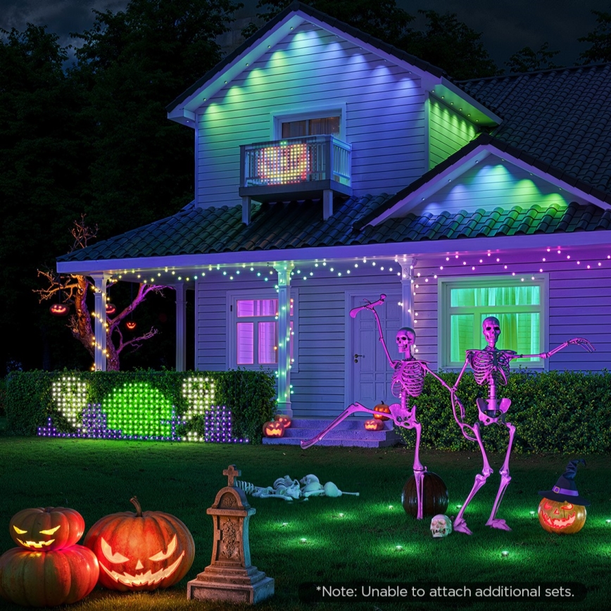 Govee - LED RGBIC Външна светлинна мрежа 143x85cm Wi-Fi Matter IP65