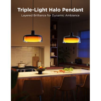 Govee - LED RGBICWW димируем полилей на кабел LED/21W/230V Matter Wi-Fi