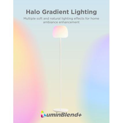 Govee - LED RGBICWW Димируема подова лампа LANTERN MATTER LED/24W/230V Wi-Fi 160 cm