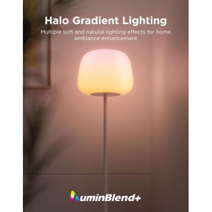 Govee - LED RGBICWW Димируема подова лампа LANTERN MATTER LED/24W/230V Wi-Fi 160 cm