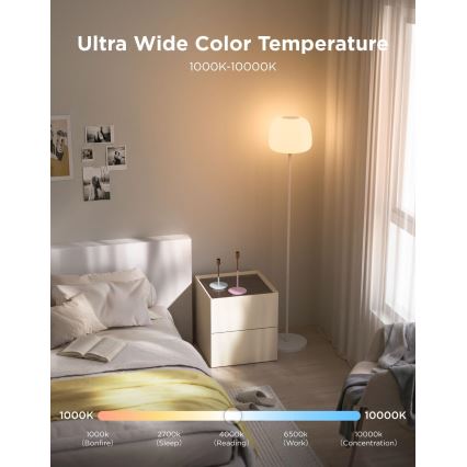 Govee - LED RGBICWW Димируема подова лампа LANTERN MATTER LED/24W/230V Wi-Fi 160 cm