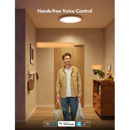 Govee - LED RGBICWW димируемо таванно осветително тяло LED/29W/230V Ø 30 см матово Wi‑Fi