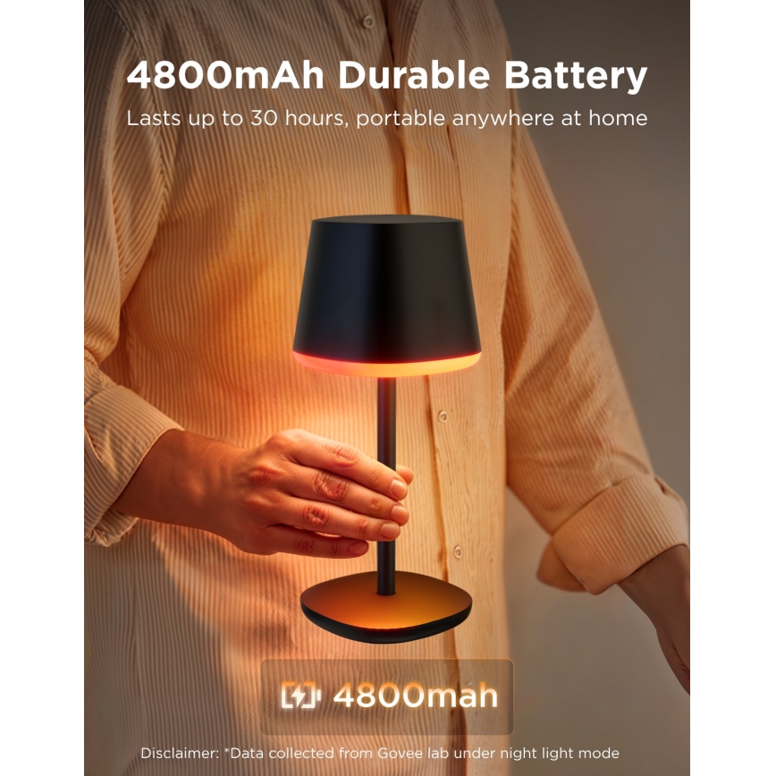 Govee - LED RGBICWW Димируема настолна лампа CLASSIC MATTER LED/10W/5V 4800mAh Wi-Fi