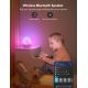 Govee - RGBIC Night Smart LED лампа с високоговорител Wi-Fi