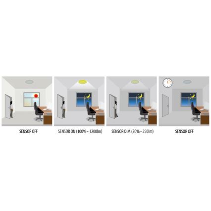 Greenlux GXPR081 - LED Индустриална лампа със сензор RENO PROFI LED/16W/230V IP66 4000K