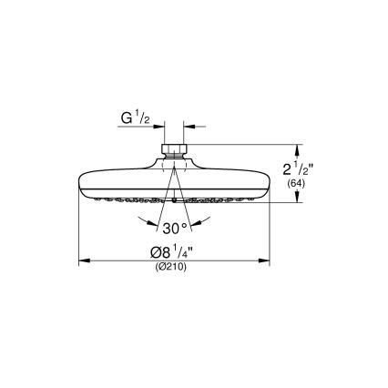 GROHE 26410000 - Душ глава TEMPESTA 210 мм, лъскав хром