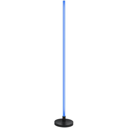 Grundig - LED RGB димируема подова лампа LED/5W/5V + дистанционно управление
