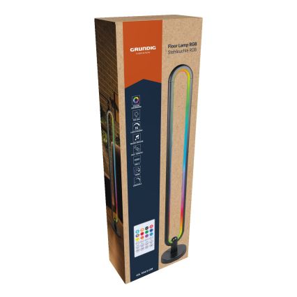 Grundig - LED RGB димируема подова лампа LED/8W/5V + дистанционно управление